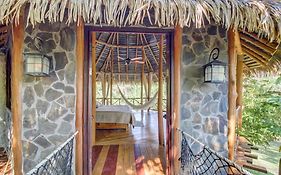 Casa Contiki